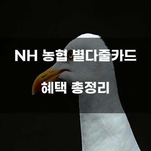 NH 농협 별다줄카드 혜택 총정리