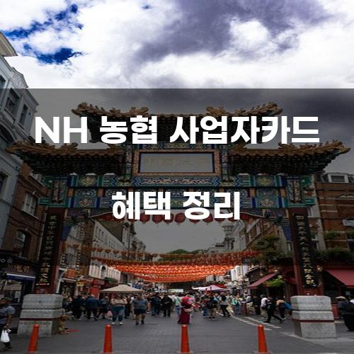 NH 농협 사업자카드 혜택 정리