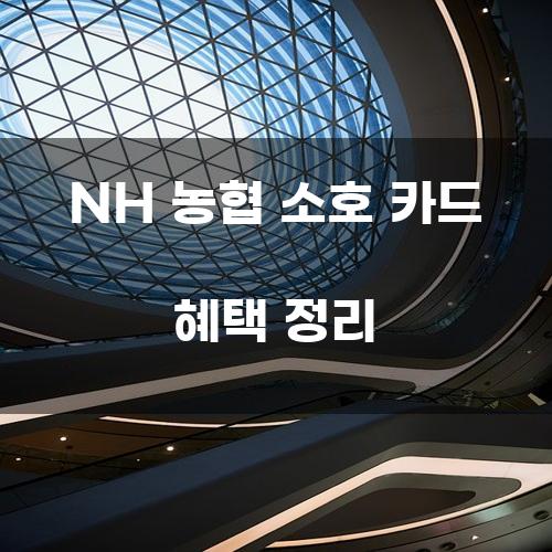 NH 농협 소호 카드 혜택 정리