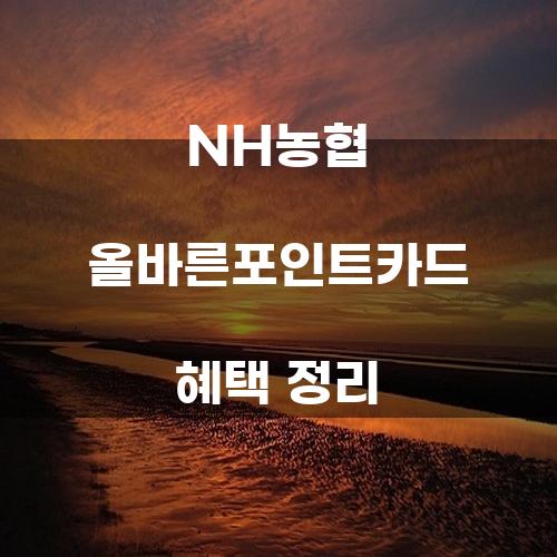 NH농협 올바른포인트카드 혜택 정리