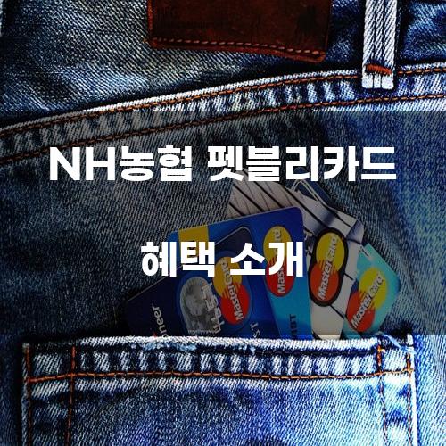 NH농협 펫블리카드 혜택 소개