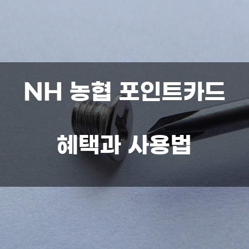 NH 농협 포인트카드 혜택과 사용법