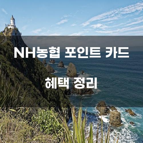 NH농협 포인트 카드 혜택 정리