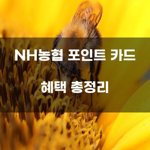 NH농협 포인트 카드 혜택 총정리