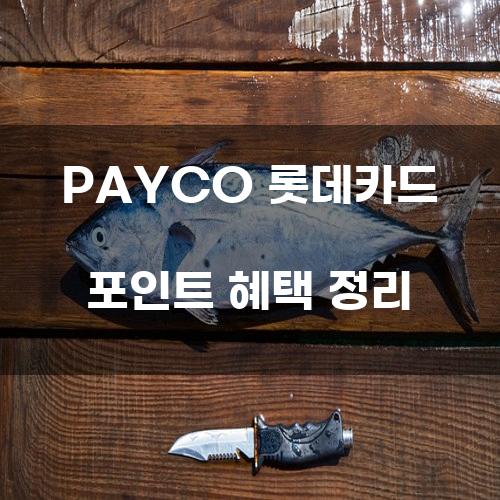 PAYCO 롯데카드 포인트 혜택 정리