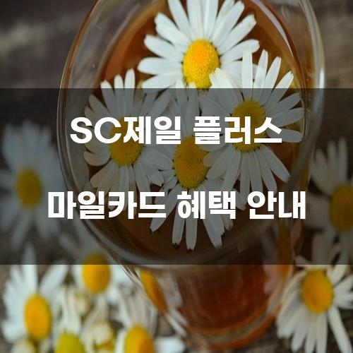 SC제일 플러스 마일카드 혜택 안내