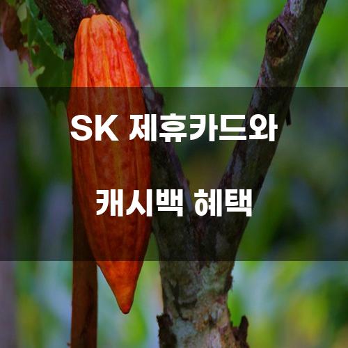 SK 제휴카드와 캐시백 혜택