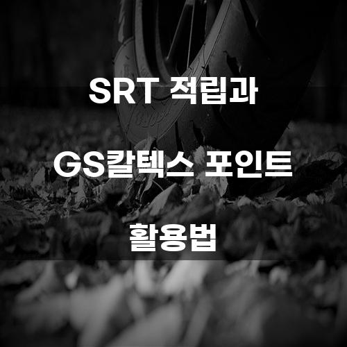 SRT 적립과 GS칼텍스 포인트 활용법