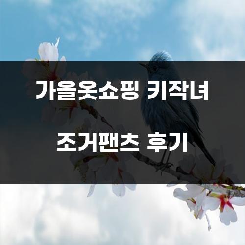 가을옷쇼핑 키작녀 조거팬츠 후기