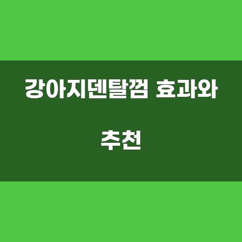 강아지덴탈껌 효과와 추천