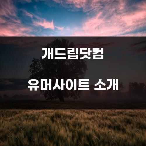 개드립닷컴 유머사이트 소개