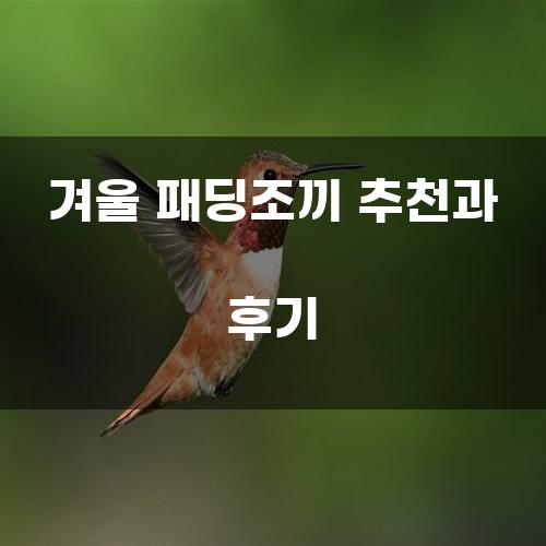 겨울 패딩조끼 추천과 후기