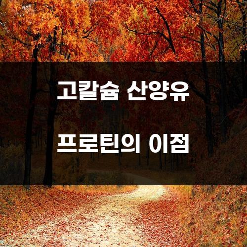 고칼슘 산양유 프로틴의 이점