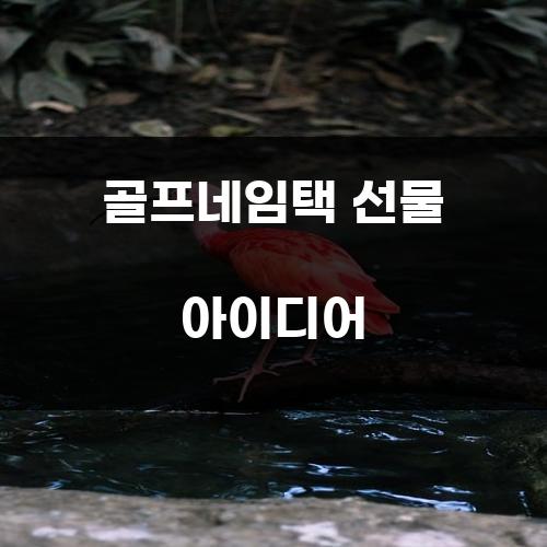 골프네임택 선물 아이디어