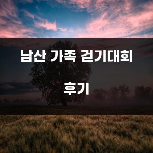 남산 가족 걷기대회 후기