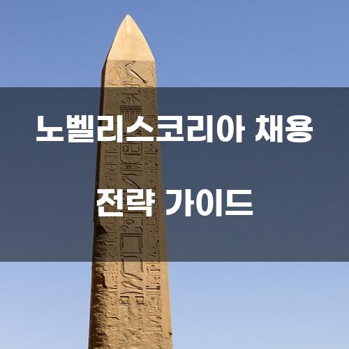 노벨리스코리아 채용 전략 가이드