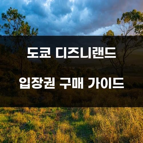 도쿄 디즈니랜드 입장권 구매 가이드