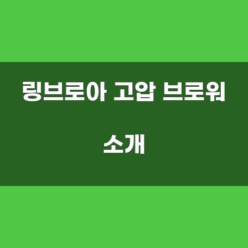 링브로아 고압 브로워 소개