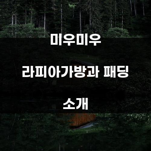 미우미우 라피아가방과 패딩 소개