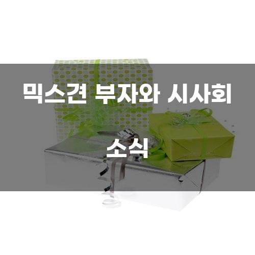 믹스견 부자와 시사회 소식