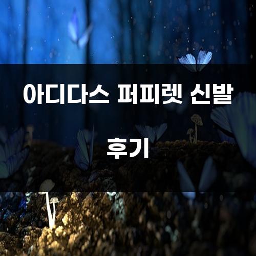 아디다스 퍼피렛 신발 후기