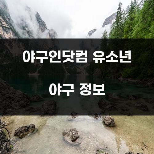 야구인닷컴 유소년 야구 정보