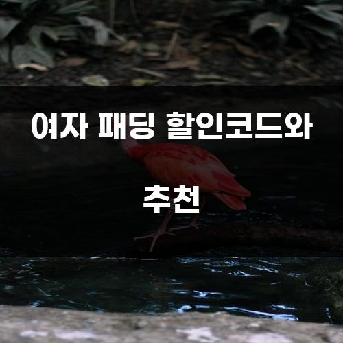 여자 패딩 할인코드와 추천