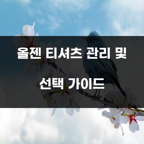 올젠 티셔츠 관리 및 선택 가이드