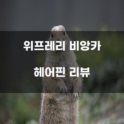 위프레리 비앙카 헤어핀 리뷰