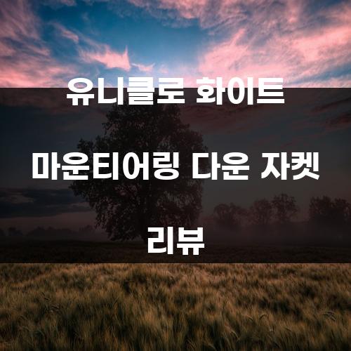 유니클로 화이트 마운티어링 다운 자켓 리뷰