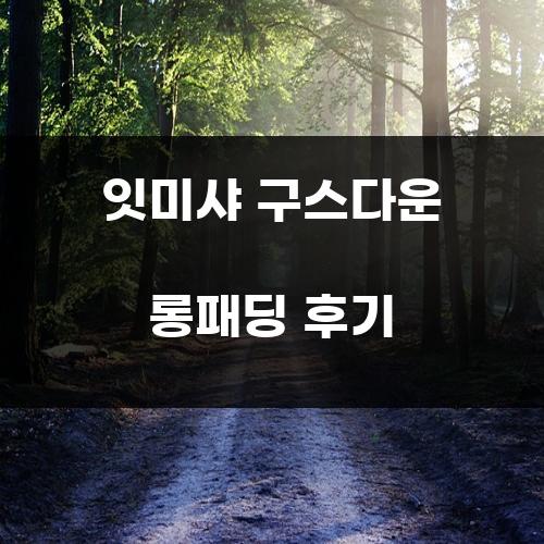 잇미샤 구스다운 롱패딩 후기