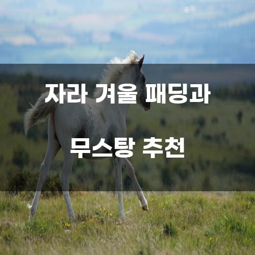 자라 겨울 패딩과 무스탕 추천