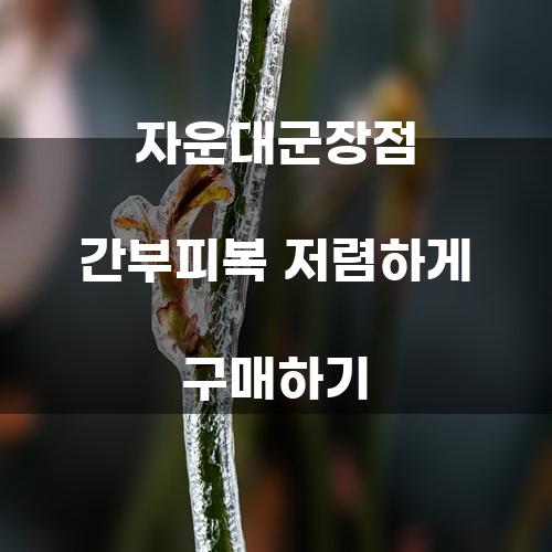 자운대군장점 간부피복 저렴하게 구매하기