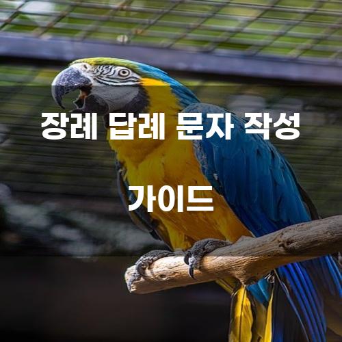 장례 답례 문자 작성 가이드