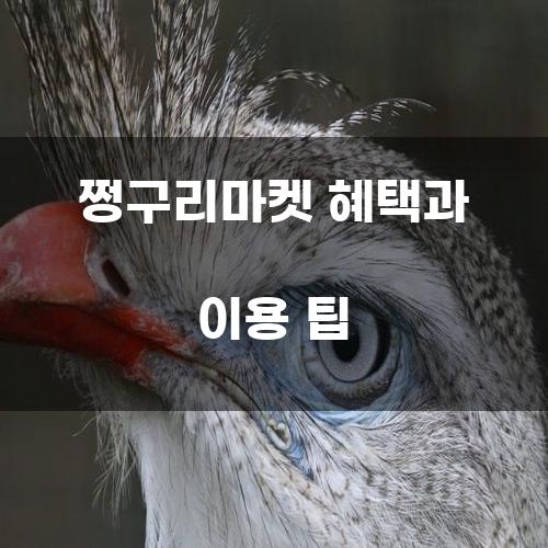 쩡구리마켓 혜택과 이용 팁