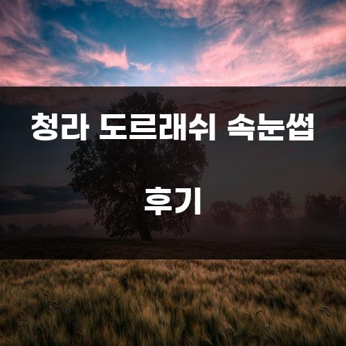 청라 도르래쉬 속눈썹 후기