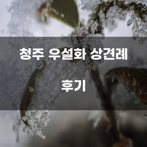 청주 우설화 상견례 후기