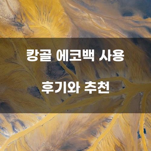 캉골 에코백 사용 후기와 추천