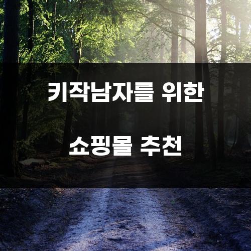 키작남자를 위한 쇼핑몰 추천