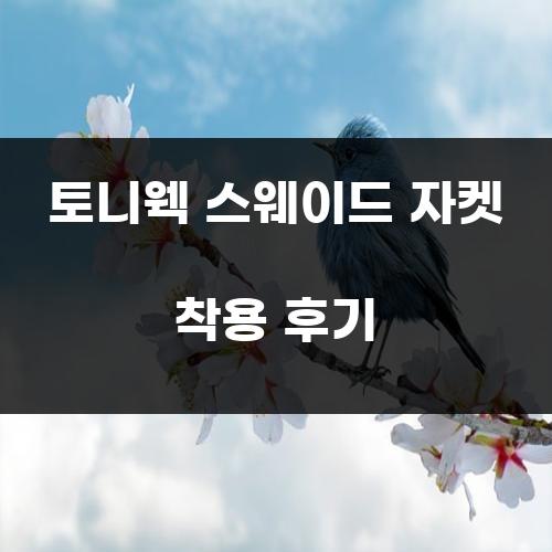 토니웩 스웨이드 자켓 착용 후기