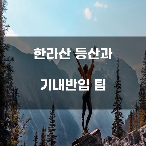 한라산 등산과 기내반입 팁