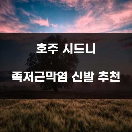 호주 시드니 족저근막염 신발 추천