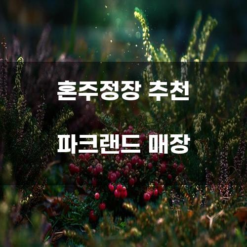 혼주정장 추천 파크랜드 매장