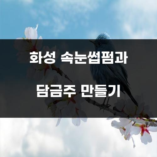 화성 속눈썹펌과 담금주 만들기