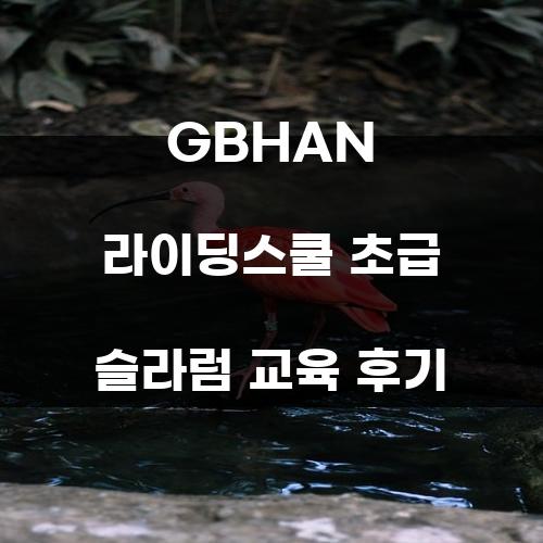 GBHAN 라이딩스쿨 초급 슬라럼 교육 후기