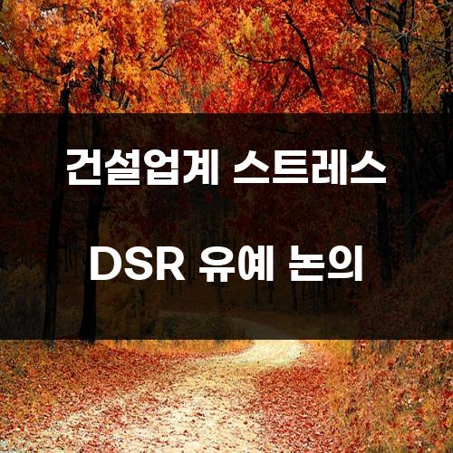 건설업계 스트레스 DSR 유예 논의