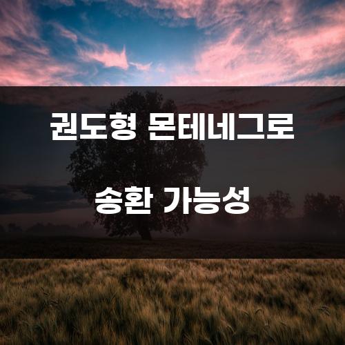 권도형 몬테네그로 송환 가능성