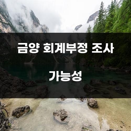 금양 회계부정 조사 가능성