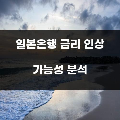 일본은행 금리 인상 가능성 분석