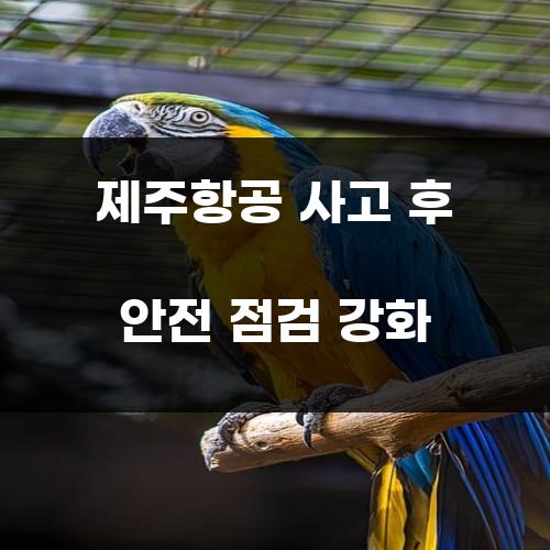 제주항공 사고 후 안전 점검 강화